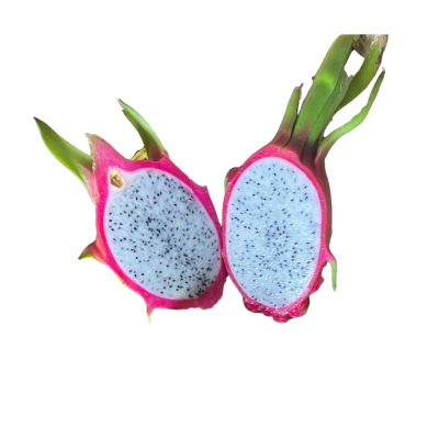 White flesh Dragon fruit