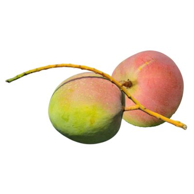Fresh Mango